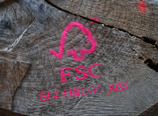 FSC Logo