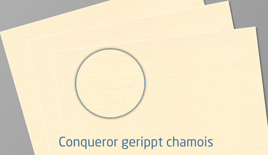 Folder DIN lang, 6-Seitig, Wickelfalz, schmal (Premiumpapier)_sample_1
