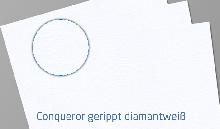 Folder DIN lang, 6-Seitig, Wickelfalz, schmal (Premiumpapier)_sample_2