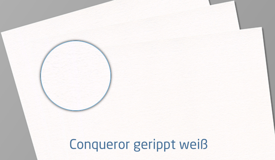 Folder DIN lang, 6-Seitig, Wickelfalz, schmal (Premiumpapier)_sample_3
