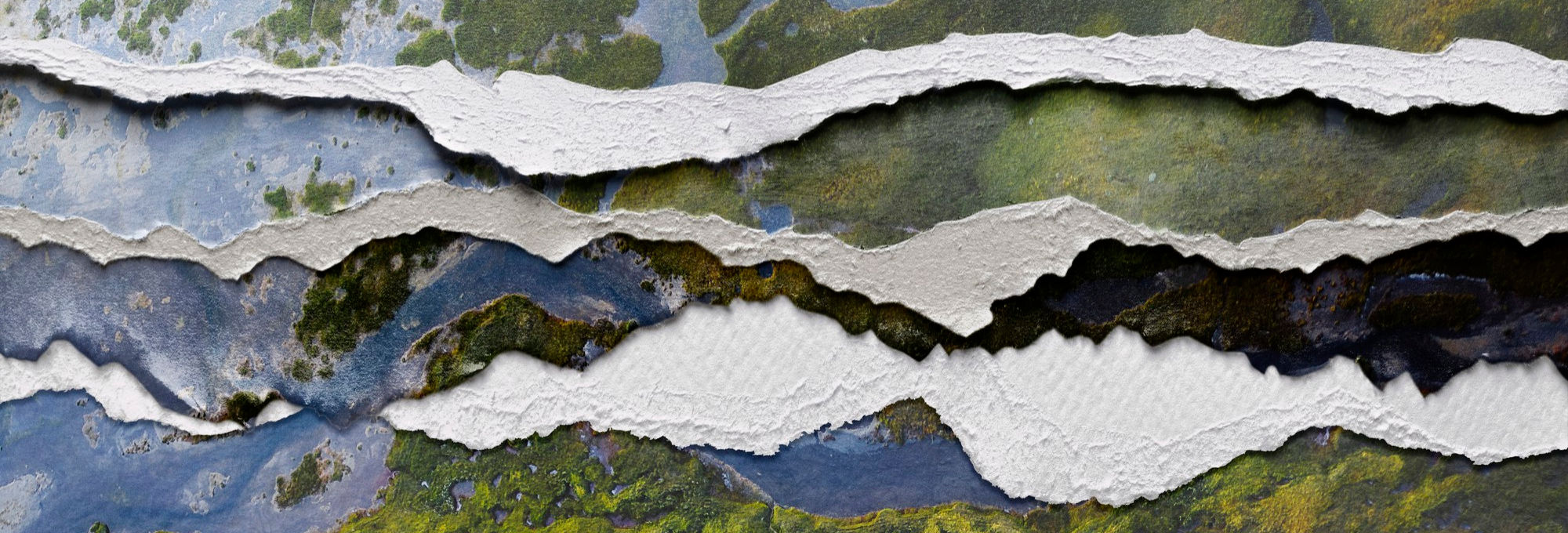 Print-Trends 2026: Wie Du sie für Dein Marketing nutzt