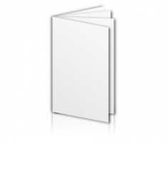 Broschüre Klammerheftung DIN Lang (Expressdruck)