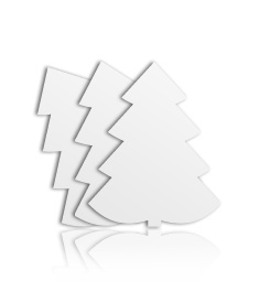 Flyer Baum
