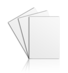 Flyer DIN A5 (Best Price)