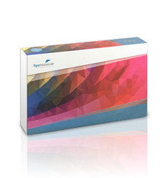 Musterbox Basis