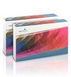 Musterbox Premium