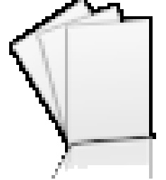 flyer format