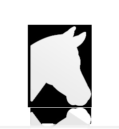 Flyer Pferd
